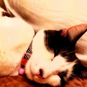 Meet your Posher, Sean